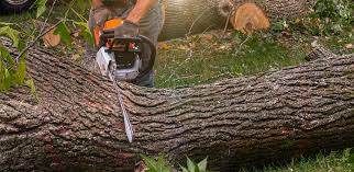 Best Lawn Watering Services  in Sweetwater, TX